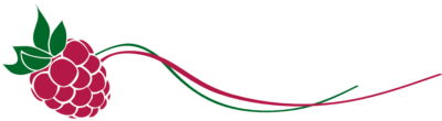 Kleinhofer_Logo_ohne Text