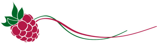Kleinhofer_Logo_ohne Text