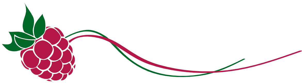 Kleinhofer_Logo_ohne Text