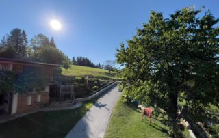 Wandern ist bei uns das ganze Jahr über möglich.