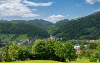 anger-frühling-schön