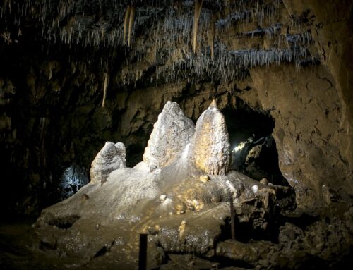 „Grottiges“ Urlaubserlebnis: Lurgrotte Peggau