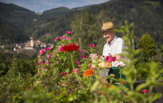 garten-oststeiermark-himbeernest