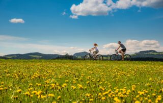 Radfahren-Oststeiermark-Tourismus